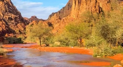 لقطات مذهلة توثق هطول أمطار الخير على حائل