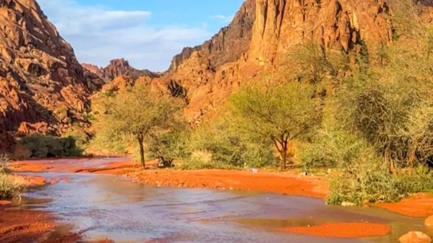 لقطات مذهلة توثق هطول أمطار الخير على حائل