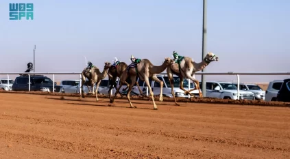 نتائج الأشواط الأولى في جائزة الملك عبدالعزيز لسباقات الهجن