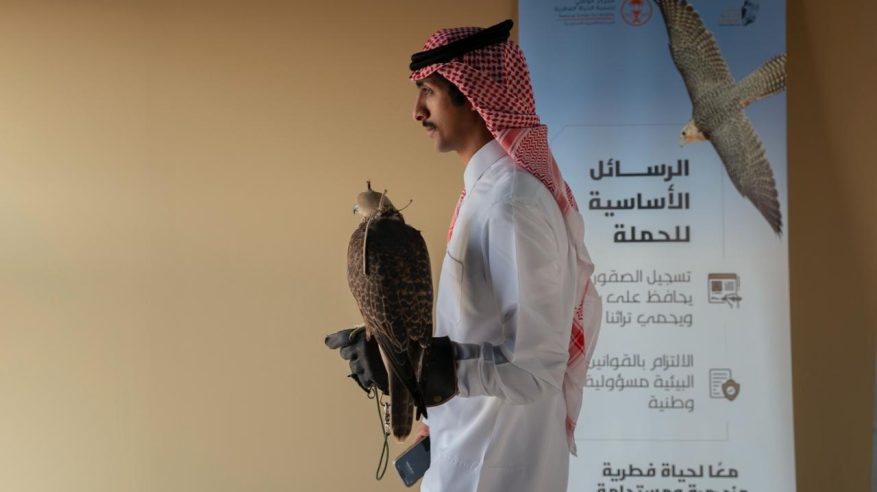 نادي الصقور السعودي يختتم مشروع توثيق ملكيات الصقور وتصحيح أوضاعها