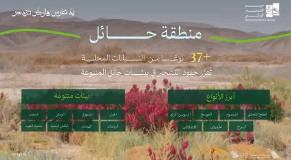 الطلح والقيصوم والعوسج والسوسن البري أكثر النباتات المحلية انتشارًا في حائل