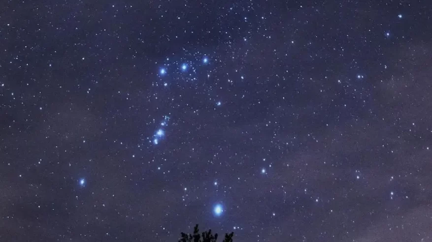 فلكية جدة: النجوم أكثر لمعانًا في فصل الشتاء