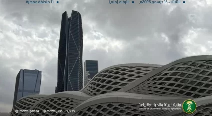 150 محطة رصد تُسجّل هطول الأمطار في 11 منطقة والرياض الأعلى كمية بـ47,0 ملم