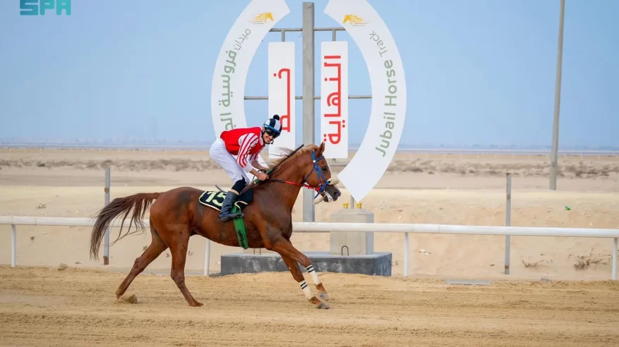 “فروسية الجبيل” تطلق أول سباقاتها للموسم الحالي 1447هـ