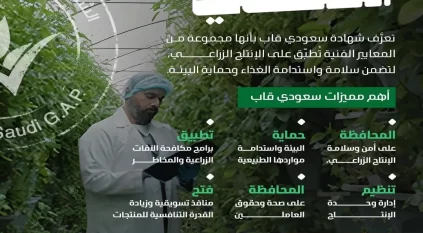 “البيئة” تطلق حملة “ضمانك المحلي” لتعزيز الممارسات الزراعية