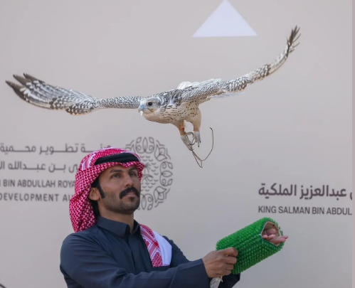 انطلاق مهرجان الملك عبدالعزيز للصقور 2025 بمشاركة صقاري 9 دول