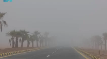 الضباب يغطي سماء عرعر ولقطات توثق 