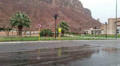 حالة مطرية على محافظة العُلا