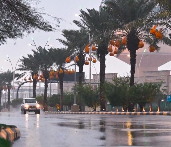 5 تنبيهات مهمة لتعزيز السلامة العامة خلال الأجواء الممطرة