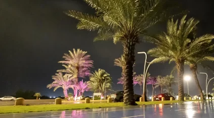 لقطات لأمطار أملج الليلية