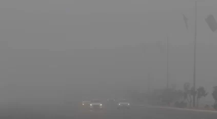 ضباب كثيف يغطي الباحة في ساعات الصباح الأولى