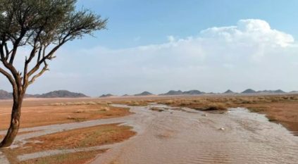 لقطات مذهلة توثق الحالة المطرية على حائل