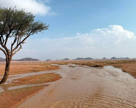 لقطات مذهلة توثق الحالة المطرية على حائل