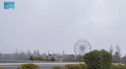 شتاء الباحة.. طبيعة خلابة تتزيّن بالضباب وبرودة الأجواء