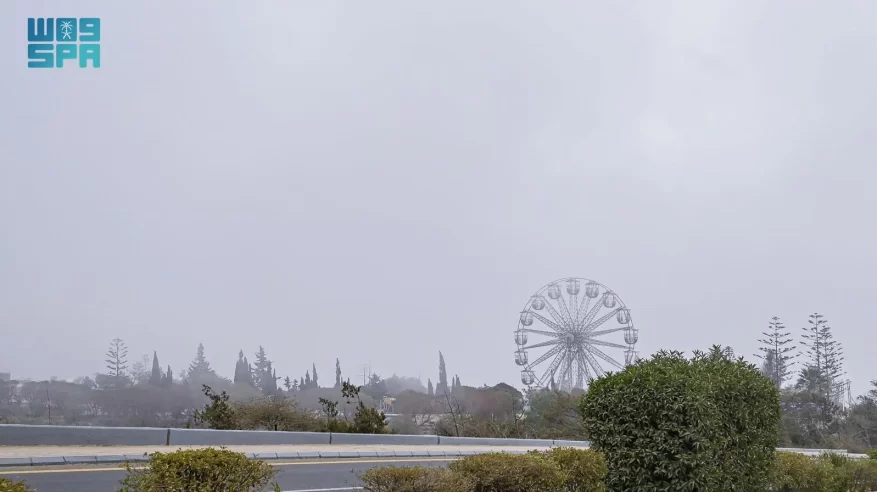 شتاء الباحة.. طبيعة خلابة تتزيّن بالضباب وبرودة الأجواء