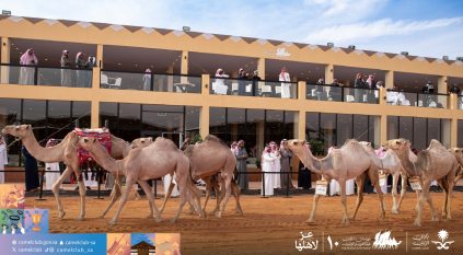 تحت شعار عزّ لأهلها.. انطلاق النسخة العاشرة من مهرجان الملك عبدالعزيز للإبل
