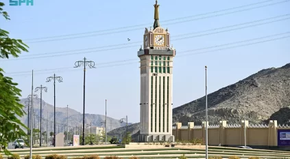 المجسمات الجمالية بنجران.. حكاية إبداع بصري لهوية ثقافية وتاريخ عريق