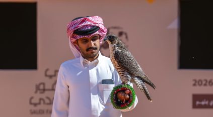 160 صقرًا للملاك المحليين تتنافس على 12 كأسًا بمهرجان الملك عبدالعزيز للصقور 2025