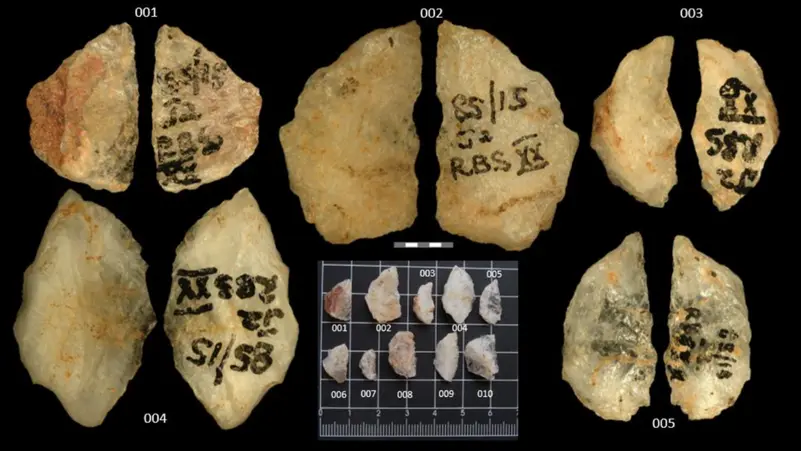 عمرها 60 ألف عام.. اكتشاف أقدم سهام لصيد الحيوانات