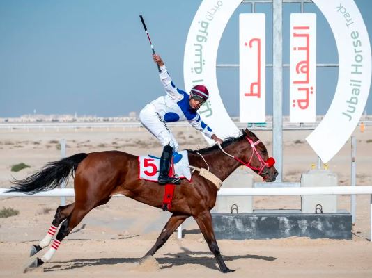 ميدان فروسية الجبيل يطلق سباق الفروسية الخامس