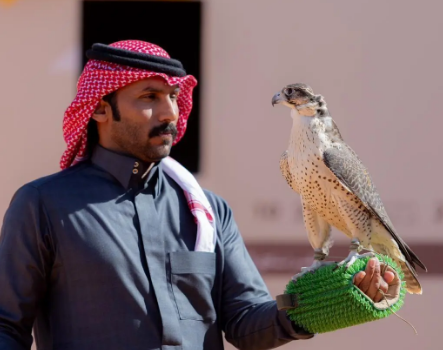غدًا.. انطلاق أشواط الكؤوس ضمن منافسات مهرجان الملك عبدالعزيز للصقور 2025
