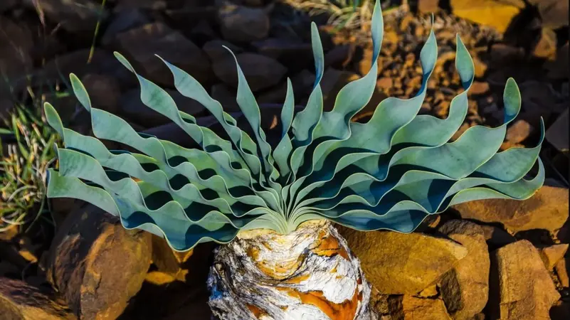 اكتشاف أقدم سهام مسمومة في التاريخ