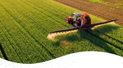 الأمن الغذائي تطرح المناقصة الأولى لاستيراد القمح لهذا العام