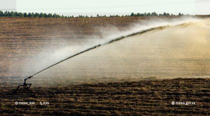 موعد حظر زراعة الأعلاف المعمرة في الرف الرسوبي