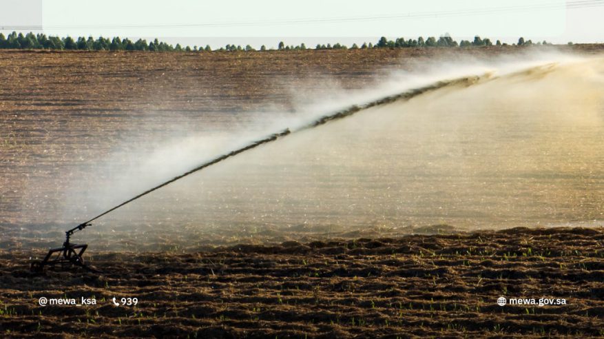موعد حظر زراعة الأعلاف المعمرة في الرف الرسوبي