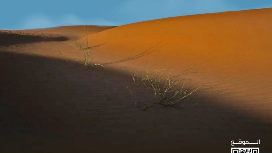 صحراء الربع الخالي في نجران.. وجهة الشتاء المثالية لعشاق الهدوء والطبيعة