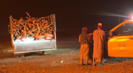 ضبط مخالفين لارتكابهما مخالفات اقتلاع الأشجار وحرقها لإنتاج الفحم المحلي