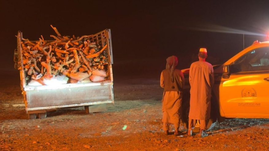 ضبط مخالفين لارتكابهما مخالفات اقتلاع الأشجار وحرقها لإنتاج الفحم المحلي
