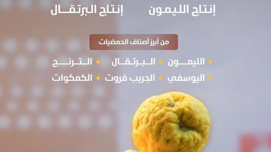 البيئة: شتاء السعودية يشهد إنتاجًا مميزًا من الحمضيات
