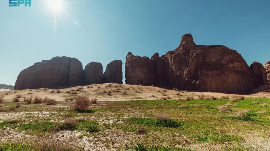 ملكية العُلا تحظر أنشطة القيادة المضرة بأراضي الغطاء النباتي