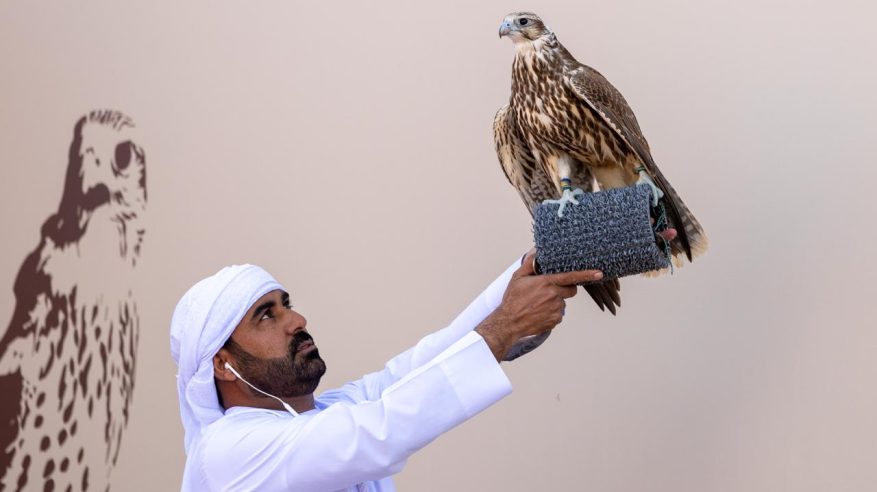 تتويج 12 محترفًا دوليًّا بكؤوس الملك عبدالعزيز في مهرجان الصقور 2025