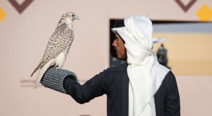 تتويج 8 هواة محليين بـ 12 كأسًا بمهرجان الملك عبدالعزيز للصقور 2025