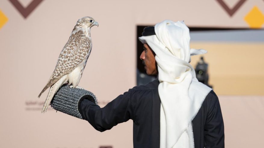 تتويج 8 هواة محليين بـ 12 كأسًا بمهرجان الملك عبدالعزيز للصقور 2025