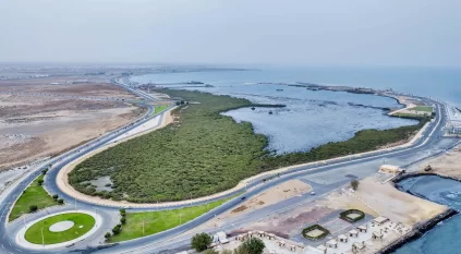 جزيرة المرجان بجازان.. أيقونة سياحية تجمع بين صفاء المياه وروعة الحياة البحرية