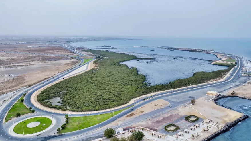 جزيرة المرجان بجازان.. أيقونة سياحية تجمع بين صفاء المياه وروعة الحياة البحرية