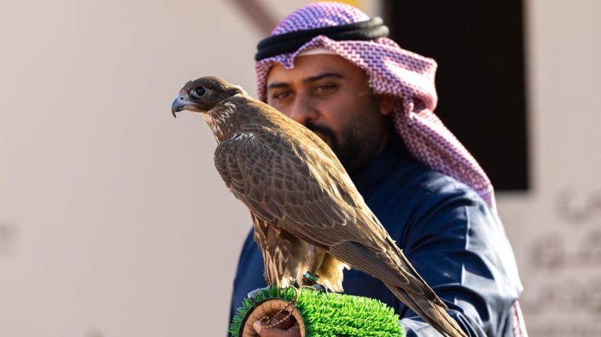 ختام منافسات الملاك الدوليين بمهرجان الملك عبدالعزيز للصقور 2025