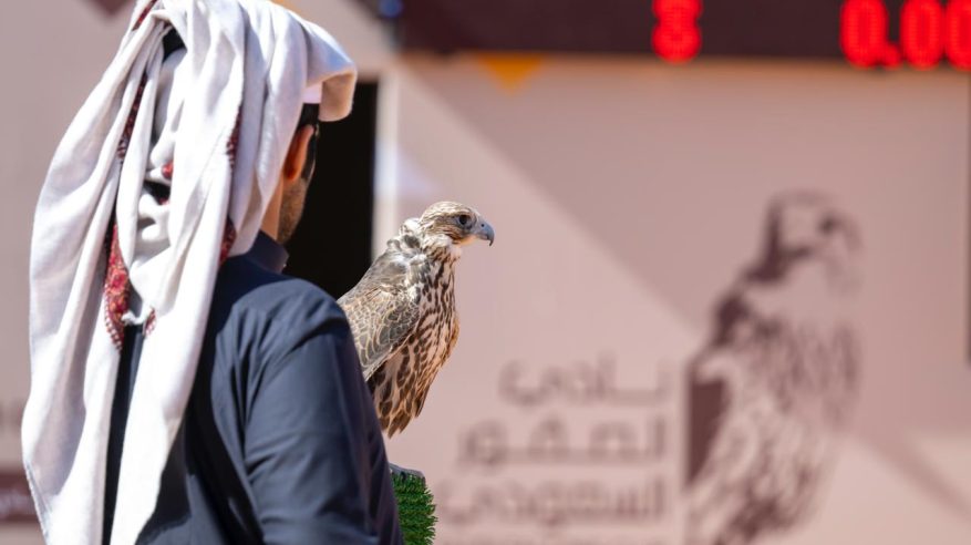 تتويج 6 فائزين بكؤوس الملك عبدالعزيز ضمن أشواط الملاك الدوليين