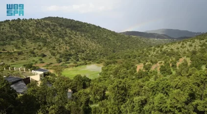 نباتات عسير الشتوية.. تنوّع بيئي تعزّزه جهود الحماية والتأهيل