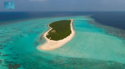 جزيرة مرمر في الليث محمية طبيعية تزخر بتنوعها البيئي