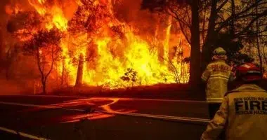 حرائق غابات تجتاح أستراليا والسلطات تحذر من ظروف كارثية