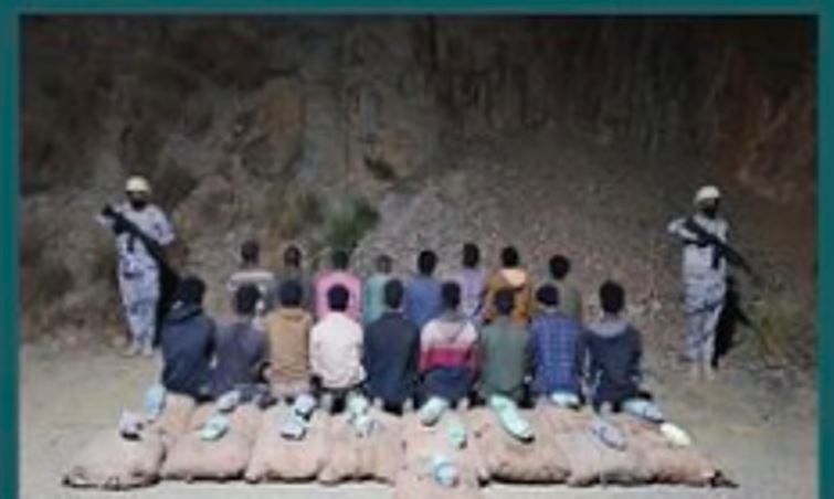 القبض على 17 إثيوبيًا لتهريبهم 306 كجم من القات في جازان