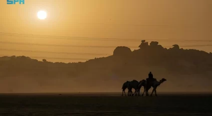 صحراء الربع الخالي بنجران.. ملاذ شتوي ساحر لعشاق الطبيعة والهدوء
