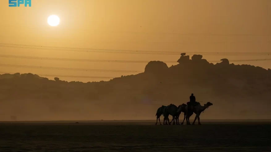 صحراء الربع الخالي بنجران.. ملاذ شتوي ساحر لعشاق الطبيعة والهدوء