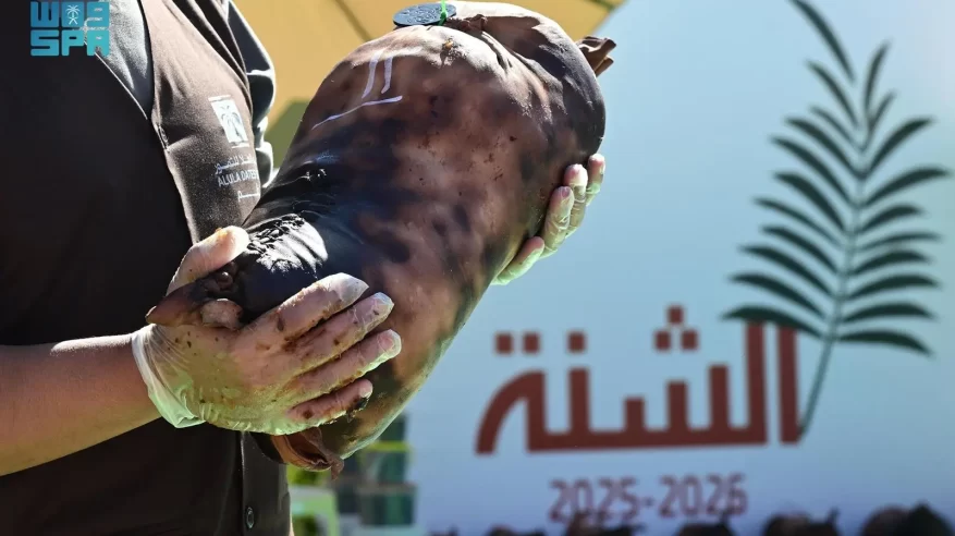 الشنّة والمجلاد.. وسيلتان تقليديتان لحفظ التمور في العُلا