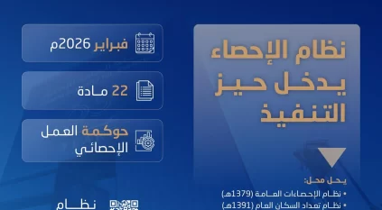 الهيئة العامة للإحصاء تعلن عن البدء بتنفيذ نظام الإحصاء