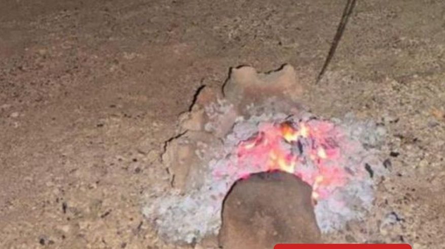 الأمن البيئي يضبط مواطنًا مخالفًا في محمية الأمير محمد بن سلمان